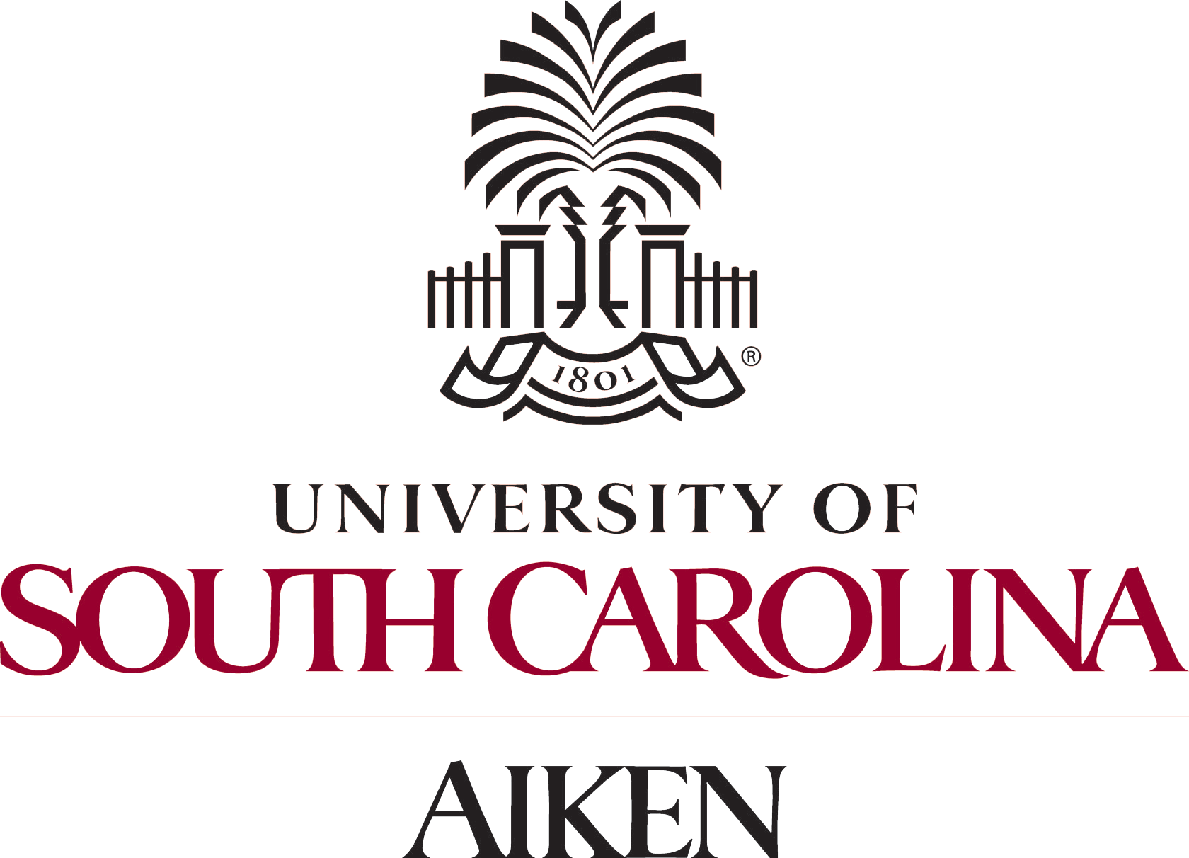 University of South Carolina Logo - Resources & Guides