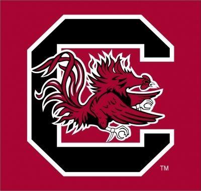 University of South Carolina Logo - University of South Carolina Logo vector. G. Sports