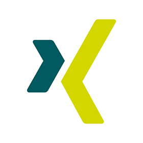 Xing Logo - Xing logo vector
