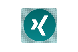 Xing Logo - XING logo rules | XING Developer