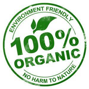 Organic Logo - 100% organic logo – Recipe Critique