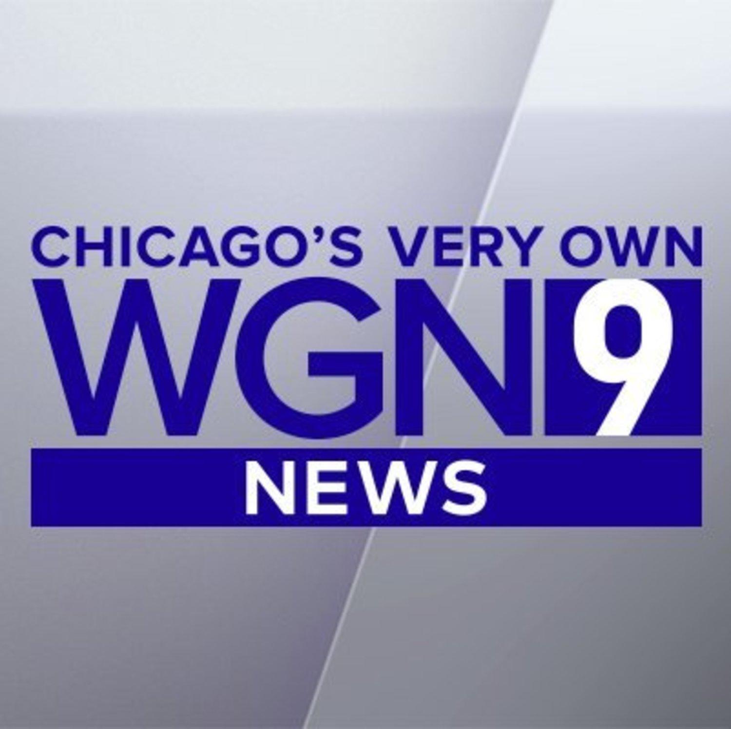 WGN Logo LogoDix