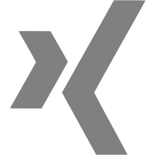Xing Logo - Gray xing icon - Free gray site logo icons
