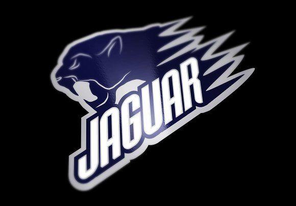 Jaguar Head Logo - Head Jaguar professional logo ~ Logo Templates ~ Creative Market
