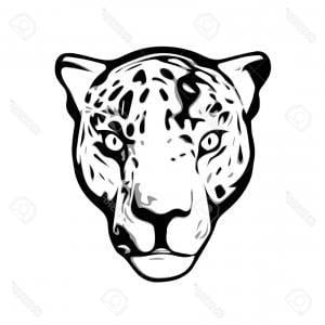 Jaguar Head Logo - Stock Illustration Jaguar Head Logo Template | SOIDERGI