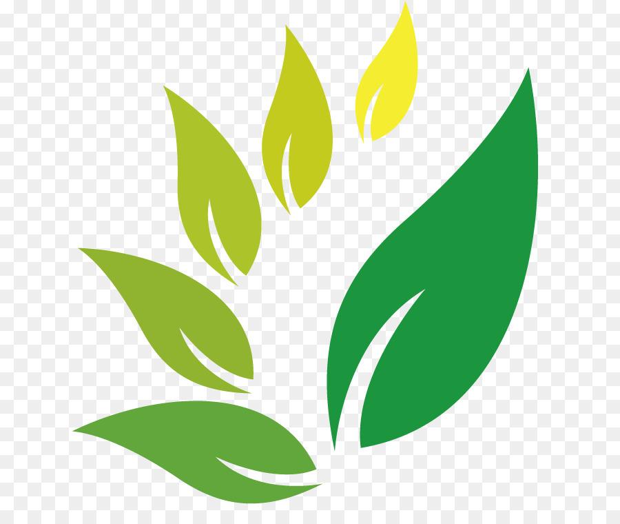 Herb Logo - Herb Jamu Logo Indian Jujube - herbal png download - 719*747 - Free ...