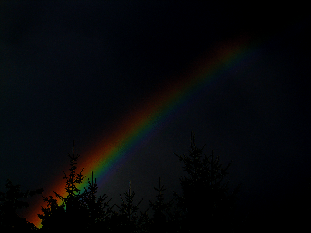 Rainbow in the Dark Logo - Rainbow in the dark | My Thoughts