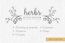 Herb Logo - Herbal medicine logo Photos, Graphics, Fonts, Themes, Templates ...