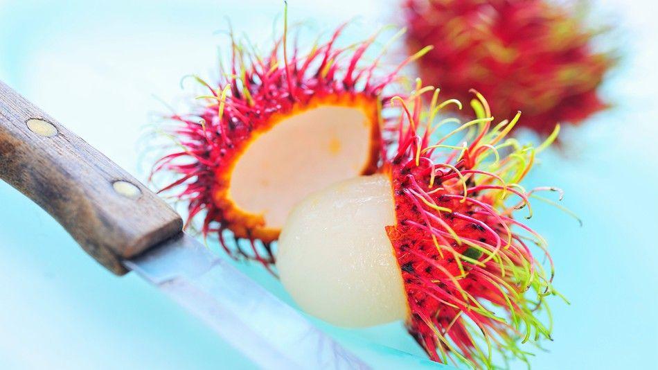 Red Spiky Circle Logo - crazy fruits that will take your taste buds around the world