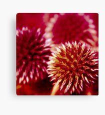 Red Spiky Circle Logo - Circle Red Spiky: Canvas Prints | Redbubble