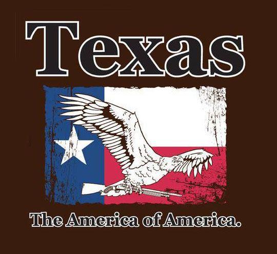 Texas Flag Eagle Logo - Guess The Rest Of America Isn't American Enough - The Meta Picture