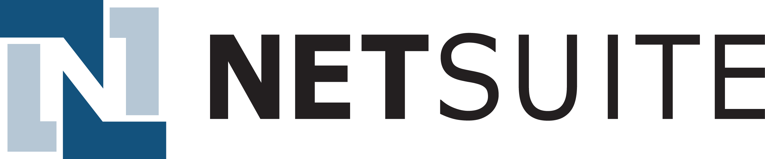 NetSuite Logo - NetSuite Logo | Balloon One