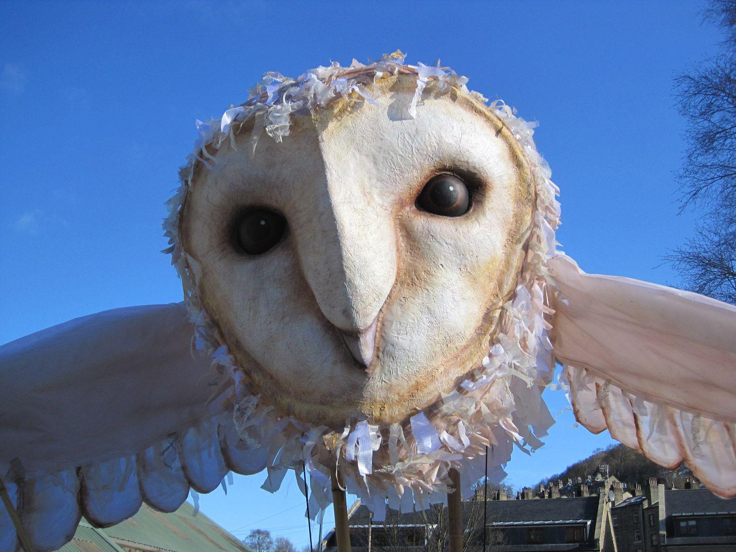 Barn Owl Face Logo - Barn Owl | Thingumajig Theatre