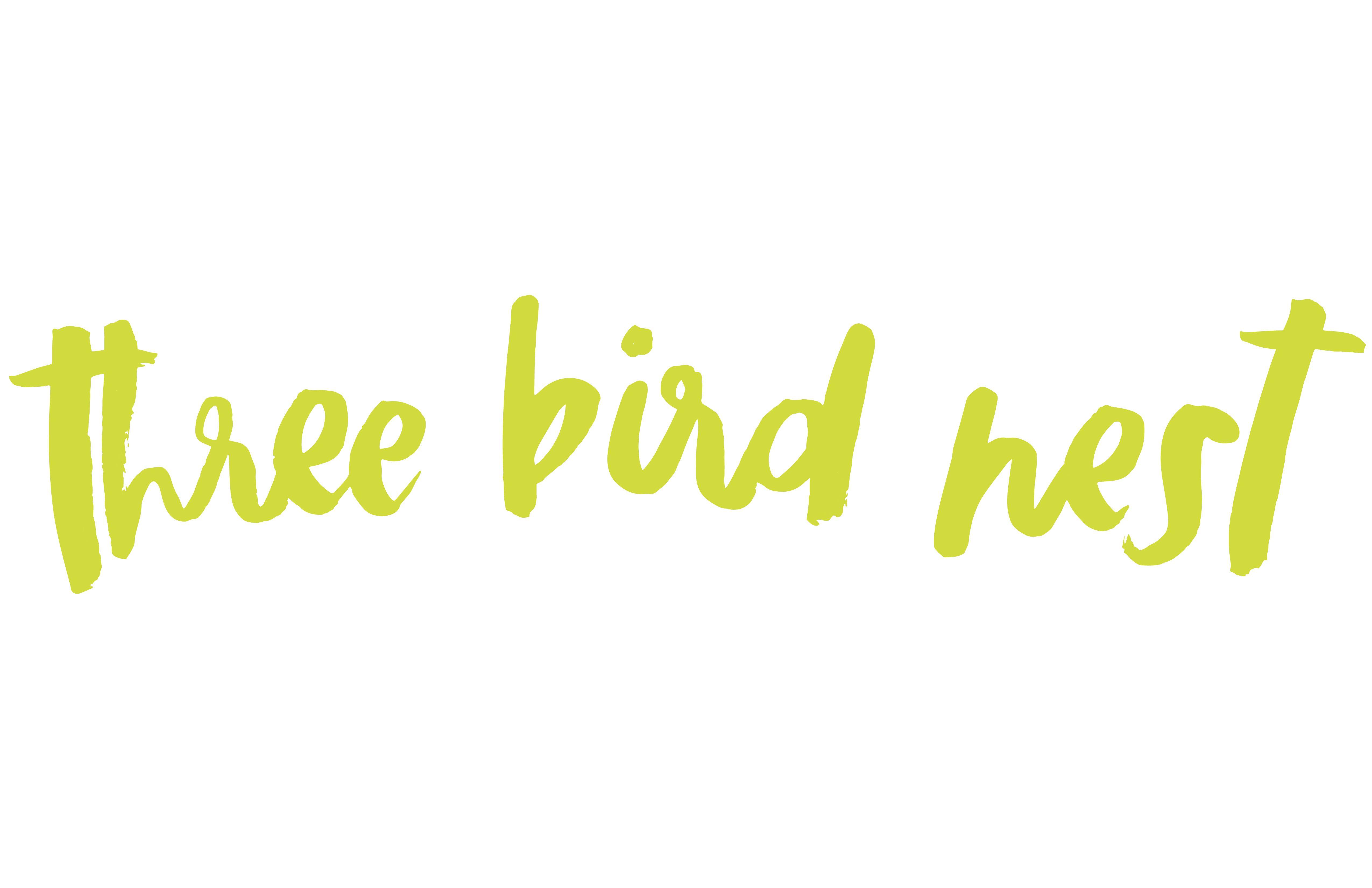 Three Birds in a Nest Logo - Women's Boho Clothing and Accessories Boutique