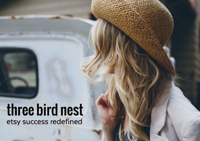 Three Birds in a Nest Logo - Three Bird Nest: The Etsy Success Story Redefined - whileshenaps.com