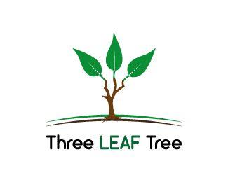 Three Leaf Logo - Three leaf tree Designed