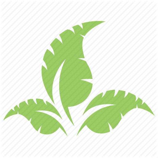 Three Green Leaves Logo - Green leaves, leaf design, leaf logo, leaf shape, three leaves icon