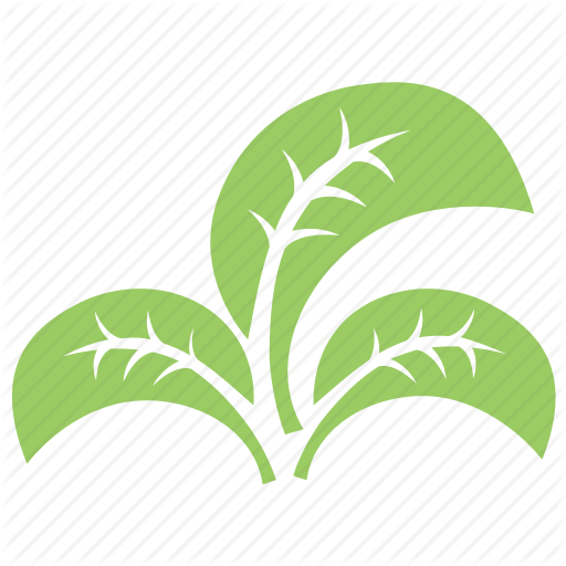 Three Leaf Logo - Divided leaf, green leaves, leaf logo, three leaves, tripartite leaf ...
