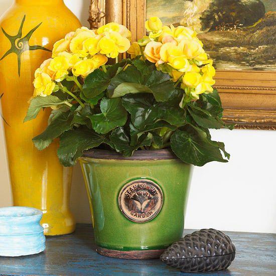Green and Yellow Flower Logo - Beautiful Blooming Houseplants. Better Homes & Gardens