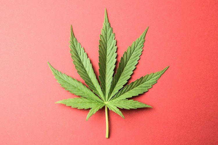 Cool Weed Logo - Winners of Surface Magazine's marijuana branding competition ...