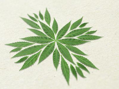 Cannabis Flower Logo - Medical cannabis logo
