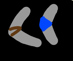 Two Silver Boomerang Logo - two silver boomerangs drawing