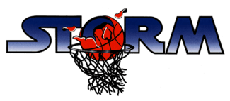Storm Basketball Logo - Derby Storm