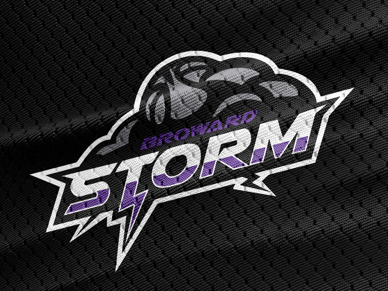 Purple Storm Logo - Broward Storm Logo Concept by Stanley Bonhomme | Dribbble | Dribbble