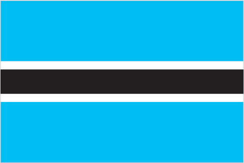 Light Blue and Black Logo - Flags with descriptions
