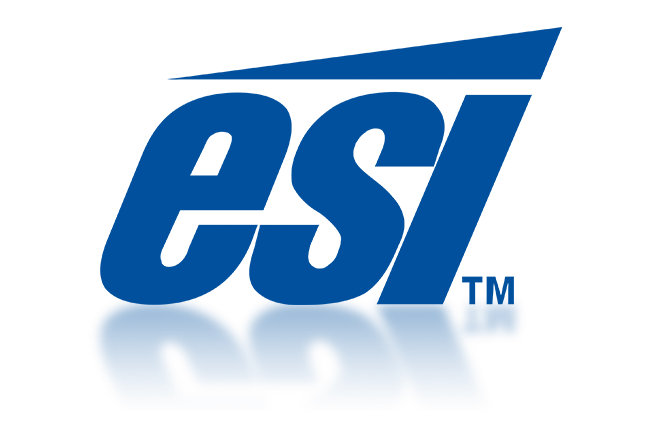 Esi Logo - ESI Enterprises, Inc. | Fulfillment Division