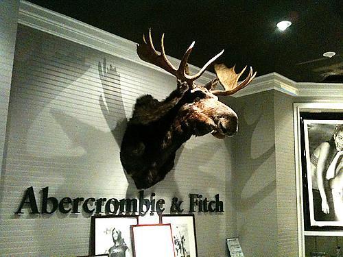 Abercrombie Moose Logo - Moose in the Canoe Room... - Abercrombie & Fitch Office Photo ...