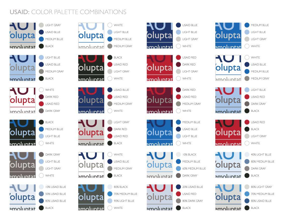 Light Blue and Black Logo - USAID: COLOR PALETTE COMBINATIONS