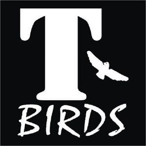 T- Birds Logo - T BIRDS Grease Movie, Iron On T Shirt Transfer A5 Medium, A4 Large