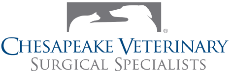 Regional Surgical Specialists Logo - Home - Chesapeake Veterinary Surgical Specialists