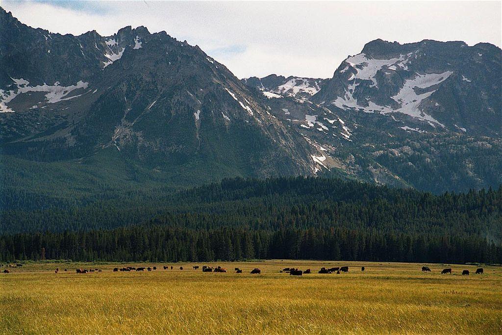 Sawtooth Mountain Logo - Sawtooth Mountains, Idaho | Sawtooth Mountain Range, Sawtoot… | Flickr