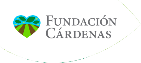 Cardenas Logo - Fundación Cárdenas