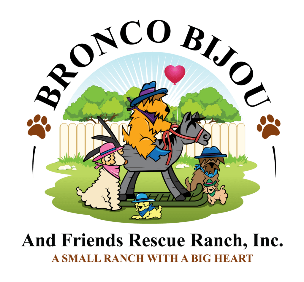 Bbrr Logo - bbrr_logo – Bronco Bijou Rescue Ranch