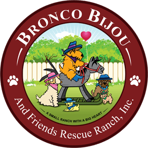 Bbrr Logo - Bronco Bijou Rescue Ranch