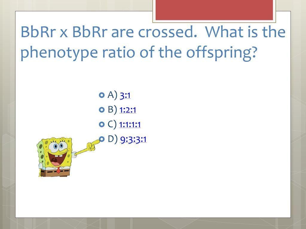 Bbrr Logo - Jeopardy!! Our topic: Genetics!. - ppt download