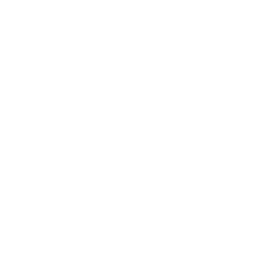 White Ford Logo - White ford icon - Free white car logo icons