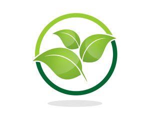 Tree Leaf Logo - Leaf stock photos and royalty-free images, vectors and illustrations ...