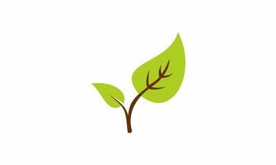 Tree Leaf Logo - Search photo plants logo