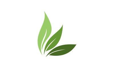 3 Leaf Logo - Leaf photos, royalty-free images, graphics, vectors & videos | Adobe ...