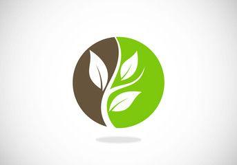 Tree Leaf Logo - Search photos 