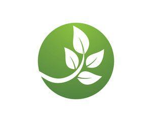 Tree Leaf Logo - Royalty Free Image, Graphics, Vectors & Videos