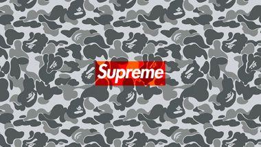 Blue Camo Supreme Logo - Supreme Wallpapers - Download Supreme HD Wallpapers