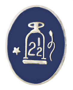 Orange and Blue Oval Logo - Royal Arch 2 1/2 Tribes Blue Oval Orange Order Pin Badge