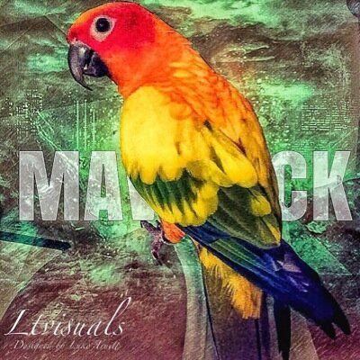 Maverick Bird Logan Paul Logo - Maverick the Parrot