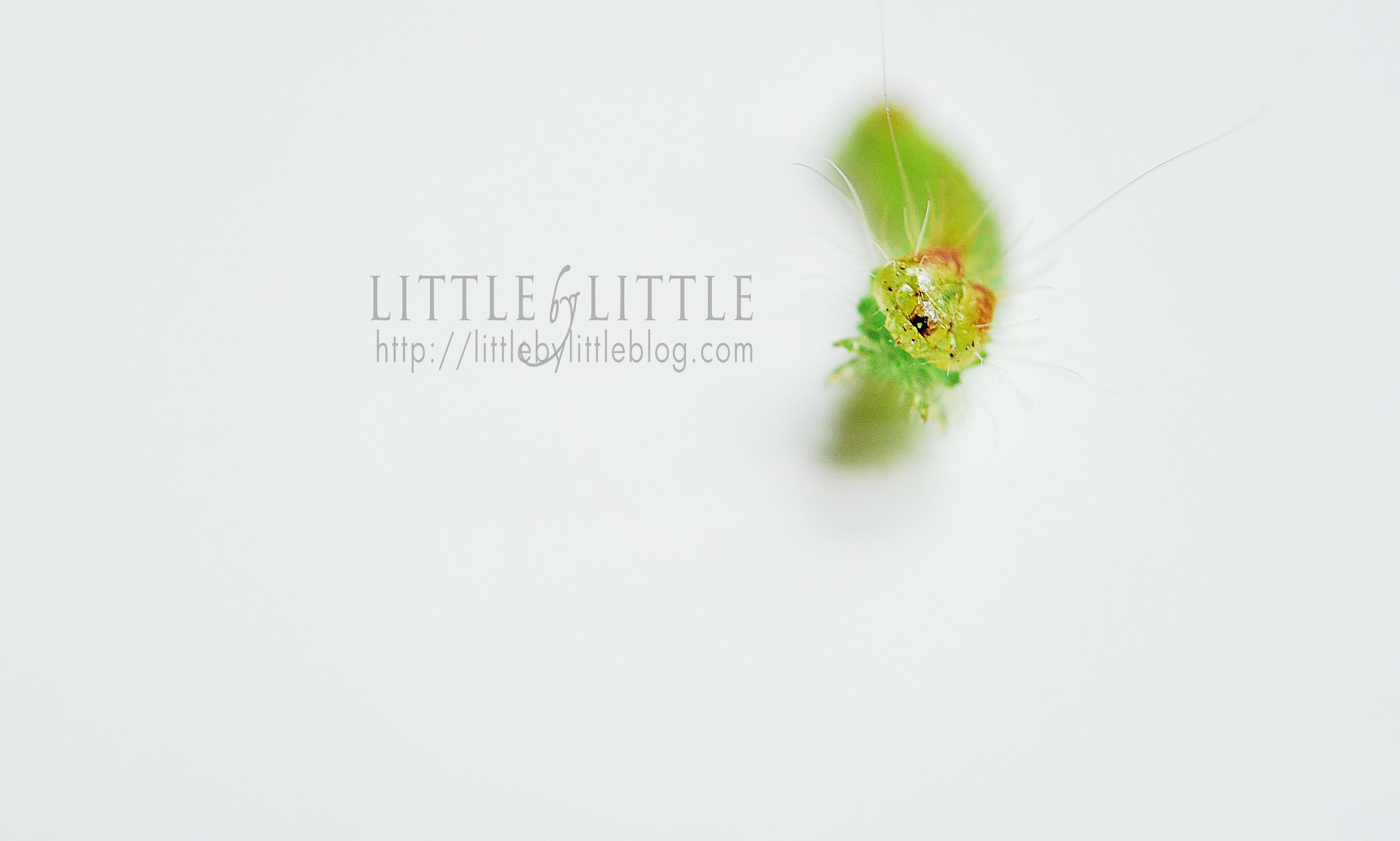 Green Worm Logo - lil green worm 01-logo - Little By Little blog
