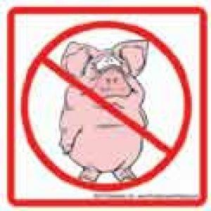 Inside Square Slash Logo - No pigs (with a picture of a fat pig inside a red circle with a red ...